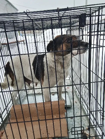 ������ �����