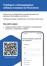 ����� ������ ���������� ����� �������� � ������������ ��������