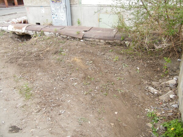 image011_1.jpg image011_1.jpg