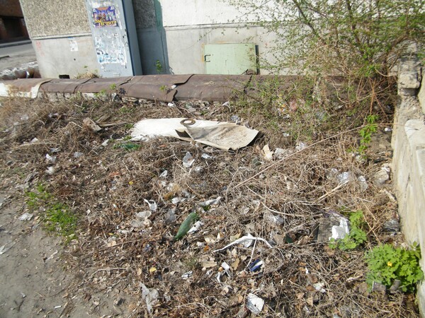 image003_1.jpg image003_1.jpg