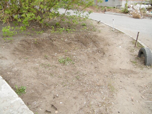 image013_1.jpg image013_1.jpg